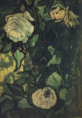 Vincent Van Gogh Roses and Beetle (nn04) Sweden oil painting art